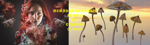 Альфа ПВП Абаза