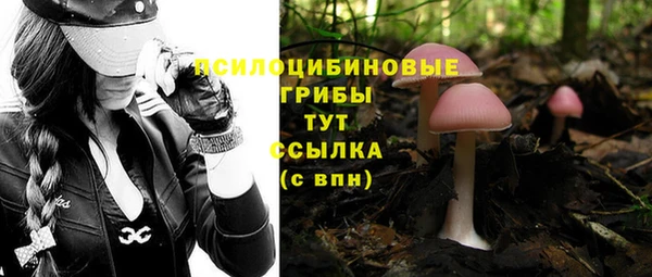 Альфа ПВП Абаза