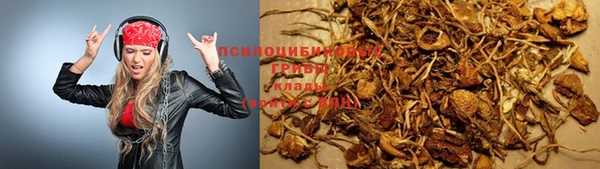 индика Алексеевка